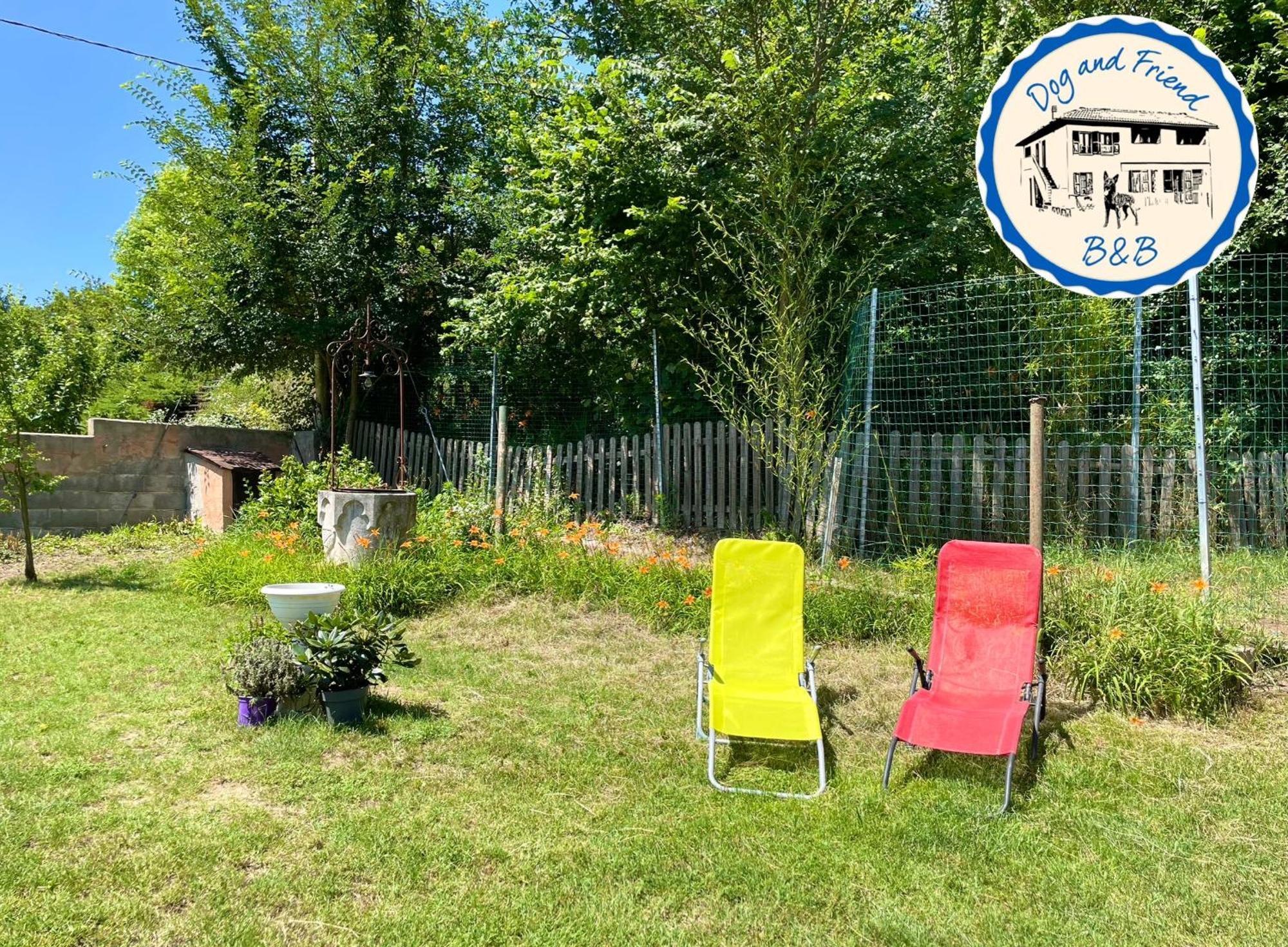 Bnb Dog And Friend Rocchetta Tanaro 外观 照片